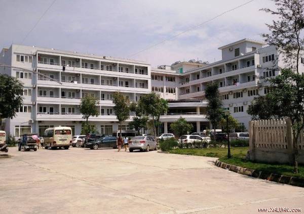 ảnh minh họa ảnh minh họa