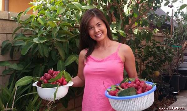 Những sao Việt làm chủ vườn chăm chỉ ở Mỹ
