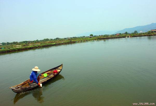 Người nuôi thủy sản tại huyện Tuy Phước (Bình Định) đang đối mặt với thua lỗ vì dịch bệnh.  Ảnh: D.T