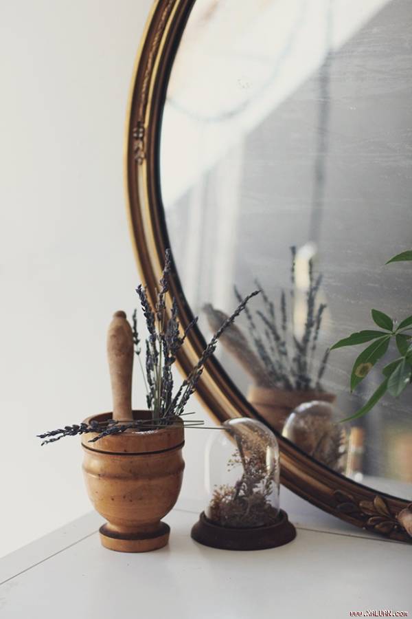 Cả nhà thơm ngát mùi hoa oải hương với những công thức làm sạch lành tính