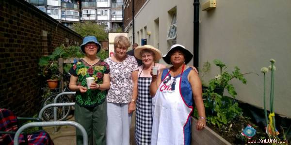 Những lí do bạn nên làm vườn, trồng rau ngay hôm nay