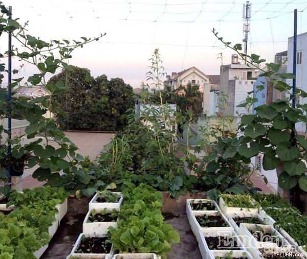 Sân thượng với diện tích rộng thoáng...