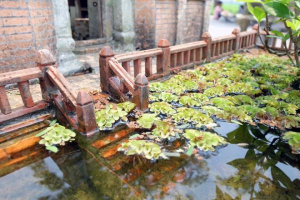 Nhà 2 mét vuông có sân vườn, ao bèo gây ngỡ ngàng