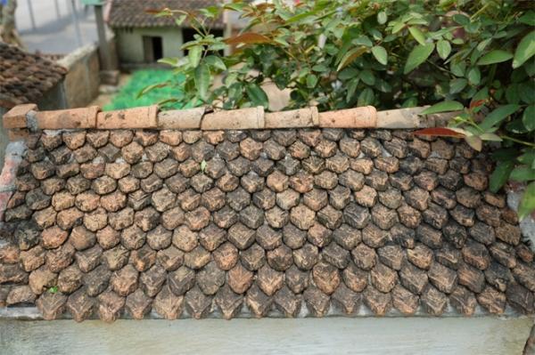 Nhà 2 mét vuông có sân vườn, ao bèo gây ngỡ ngàng