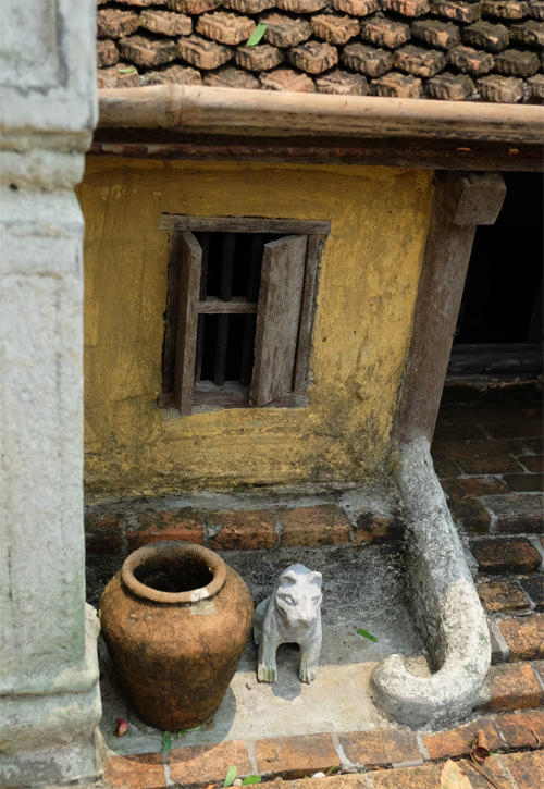 Nhà 2 mét vuông có sân vườn, ao bèo gây ngỡ ngàng