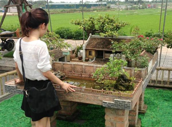 Nhà 2 mét vuông có sân vườn, ao bèo gây ngỡ ngàng