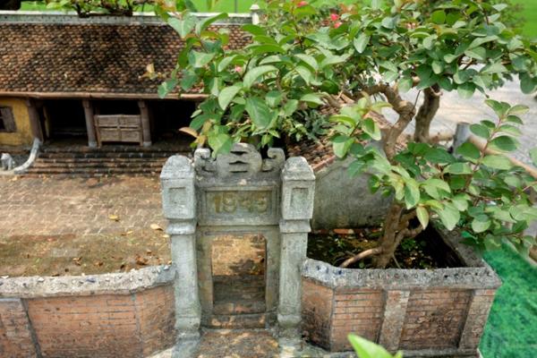 Nhà 2 mét vuông có sân vườn, ao bèo gây ngỡ ngàng