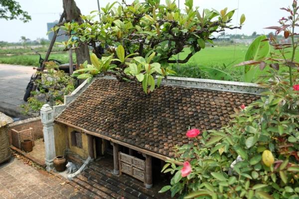 Nhà 2 mét vuông có sân vườn, ao bèo gây ngỡ ngàng