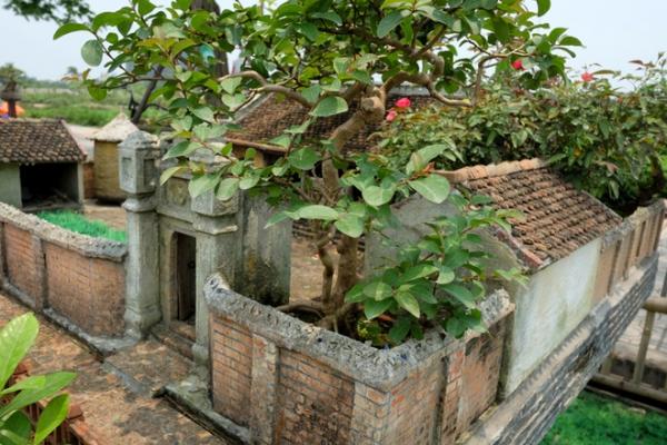 Nhà 2 mét vuông có sân vườn, ao bèo gây ngỡ ngàng