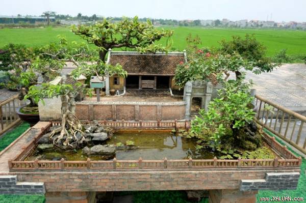 Nhà 2 mét vuông có sân vườn, ao bèo gây ngỡ ngàng