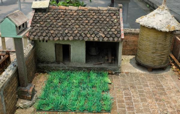 Nhà 2 mét vuông có sân vườn, ao bèo gây ngỡ ngàng