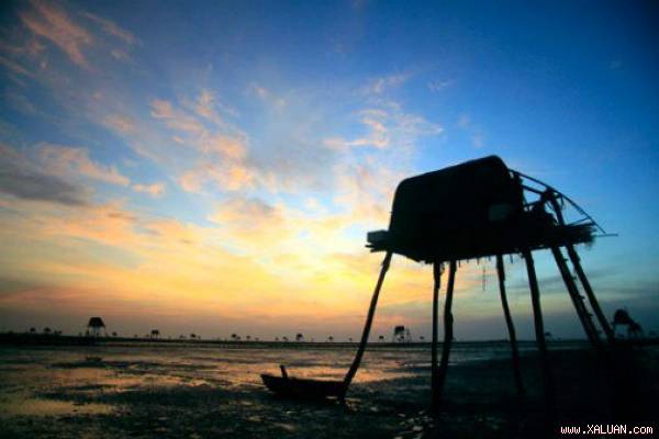 Ngắm cồn biển đẹp ở vùng quê lúa