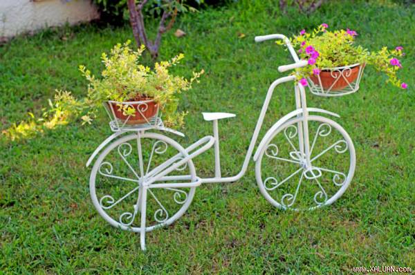 Màu trắng tinh khôi khiến xe đạp dù bé nhỏ cũng trở nên nổi bật trên nền xanh của cỏ cây.