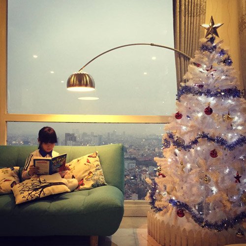 Những căn nhà triệu đô đáng mơ ước của sao Việt hình ảnh 3