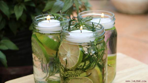 Nước thơm đuổi kiến