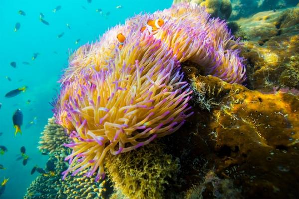 Căn nhà được đặt ra giữa biển chỉ để ở một đêm