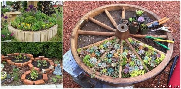 Khéo tạo vòng tròn trồng cây tạo điểm nhấn trong vườn nhà