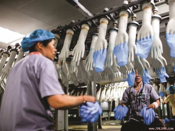 Cơ hội lớn của găng tay y tế