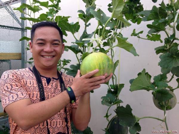 Ông bố Sài Gòn tặng vườn đủ rau ăn cho con gái nhỏ