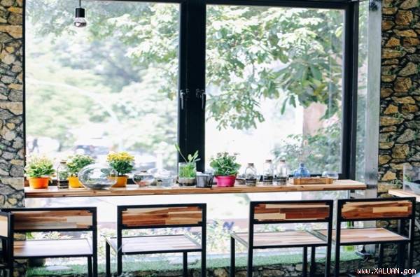  Nếu bạn là người yêu mèo, thích không gian ngập tràn sắc xanh thì có lẽ Tearanium coffee sẽ là địa điểm nhất định phải ghé qua.