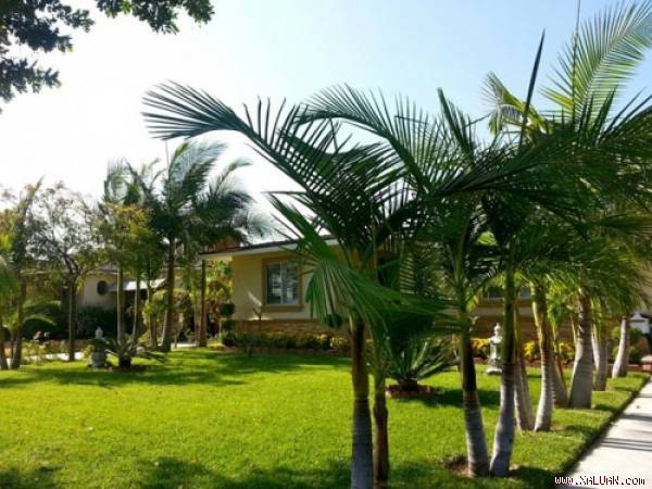 Ngôi nhà của nam ca sĩ nằm ở California (Mỹ), có lối kiến trúc đậm chất Việt, trước nhà là thềm cỏ xanh mướt.