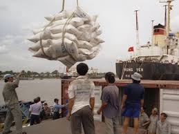 Khởi tố phó tổng giám đốc Tổng Công ty Lương thực miền Nam