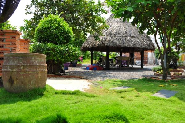 Ông bố tự tạo vườn 3000 m2 rợp cây trên đất cằn, nước mặn ở Sài Gòn