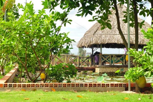 Ông bố tự tạo vườn 3000 m2 rợp cây trên đất cằn, nước mặn ở Sài Gòn