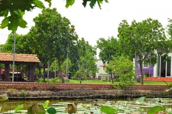 Ông bố tự tạo vườn 3000 m2 rợp cây trên đất cằn, nước mặn ở Sài Gòn