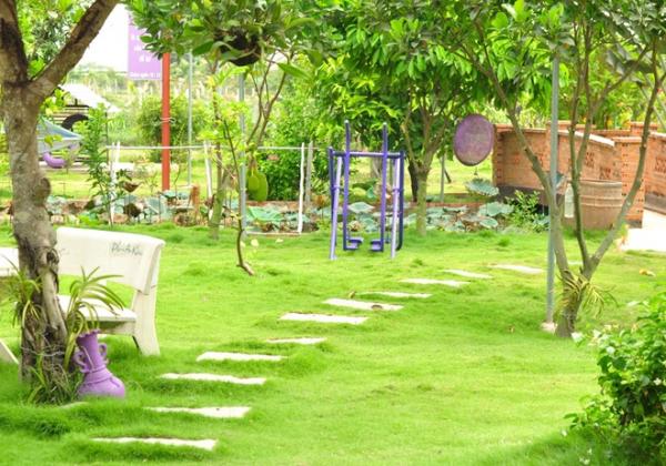 Ông bố tự tạo vườn 3000 m2 rợp cây trên đất cằn, nước mặn ở Sài Gòn