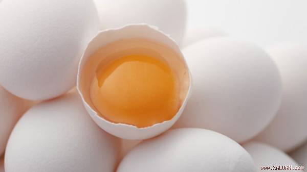 Lòng đỏ trứng chứa nhiều cholesterol hơn.