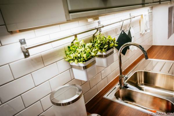 Thêm hoa ở vị trí ’đắc địa’