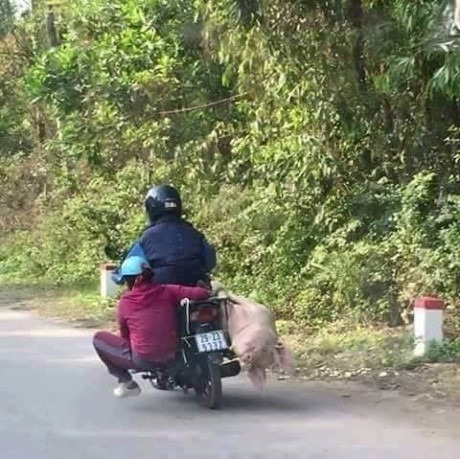 Choáng với những màn chở hàng cồng kềnh trên đường phố Việt