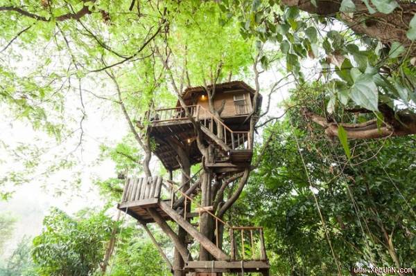 Ngôi nhà trên cây nằm cách thành phố Chiang Mai (Thái Lan) khoảng 70 km.
