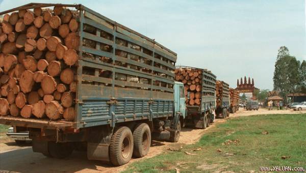 Nhập khẩu gỗ của Việt Nam ngày càng tăng, trong khi đó Việt Nam chưa có cơ chế kiểm soát tính chất hợp pháp của nguồn gốc gỗ. Do đó, rủi ro đã và đang đặt ra đối với xuất khẩu ngành gỗ của Việt Nam sang các nước lớn (ảnh minh họa - nhập khẩu gỗ từ Campuchia)
