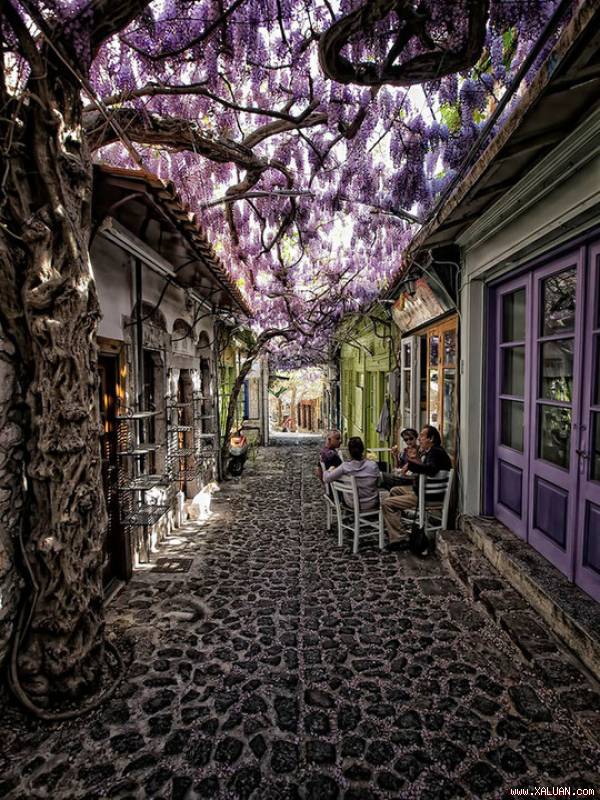Thị trấn Mithymna (Hy Lạp) nổi tiếng với những con đường nhỏ rợp bóng hoa tím.