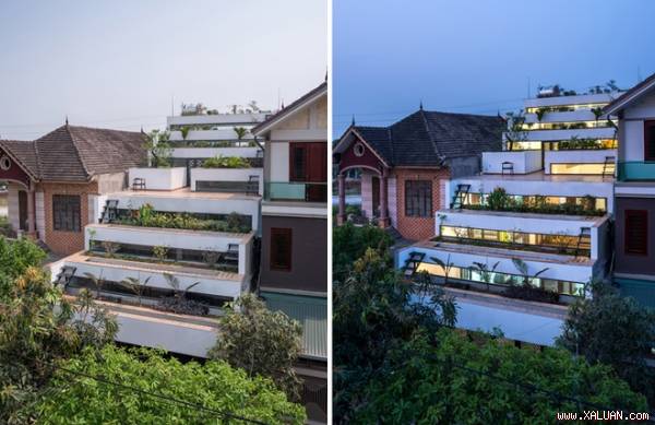 Ngôi nhà 3 tầng ở thành phố Hà Tĩnh xây dựng dựa trên ý tưởng hòa trộn kiến trúc và nông nghiệp - nền tảng của sự phát triển bền vững.