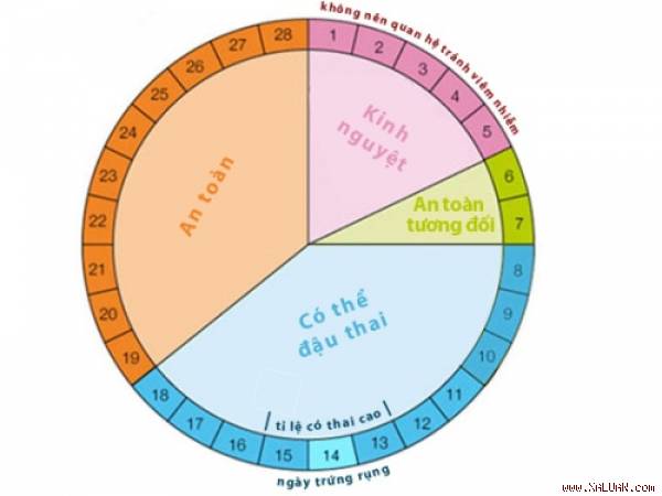 Bảng phân chia thời gian quan hệ an toàn và không an toàn trong chu kỳ kinh nguyệt 28 ngày.