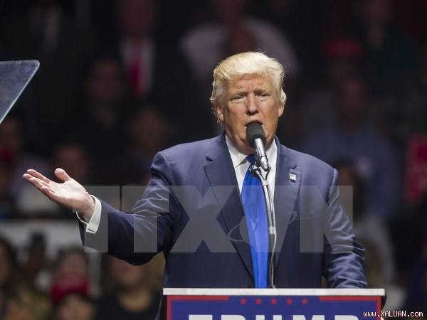 Ông Donald Trump trong cuộc vận động tranh cử tại bang New Hampshire ngày 7/11.