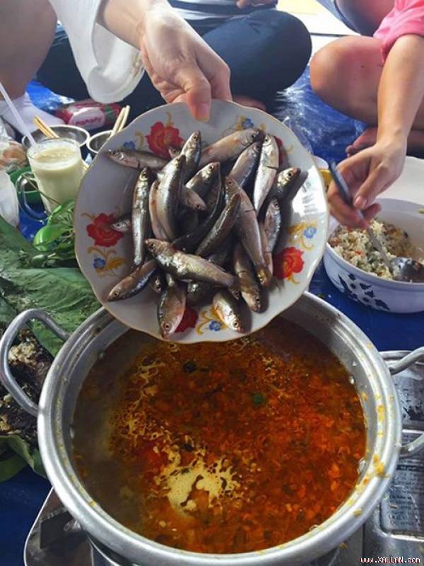 Vẻ đẹp nao lòng của rừng tràm Trà Sư ‘đốn tim’ phượt thủ mùa Tết