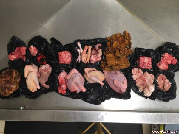  Gần 10 kg thịt sống được cất trong hành lý của hành khách người Việt. Ảnh: CBP.