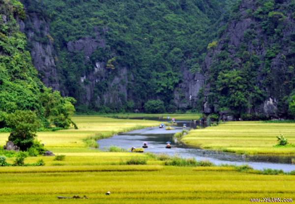 Lịch trình trốn nóng cuối tuần với Tam Cốc mùa lúa chín trong 24 giờ