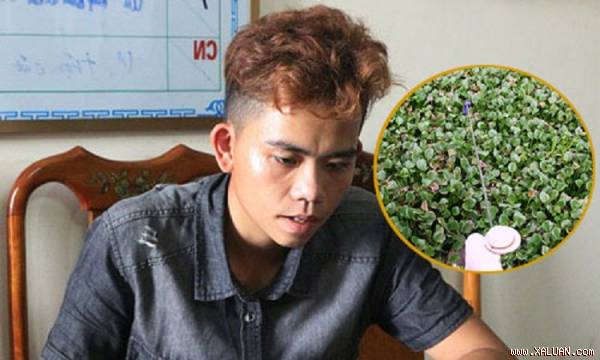Nghi can Dương. Ảnh: C.A
