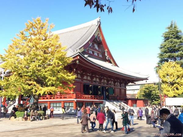 Đến Nhật Bản thưởng ngoạn mùa lá đỏ với chi phí từ 21 triệu đồng