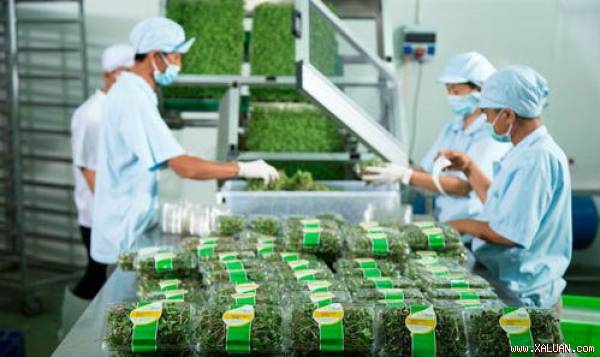 Nông nghiệp nông thôn: Miễn giảm 20.000 tỷ đồng/năm để có 30.000 doanh nghiệp