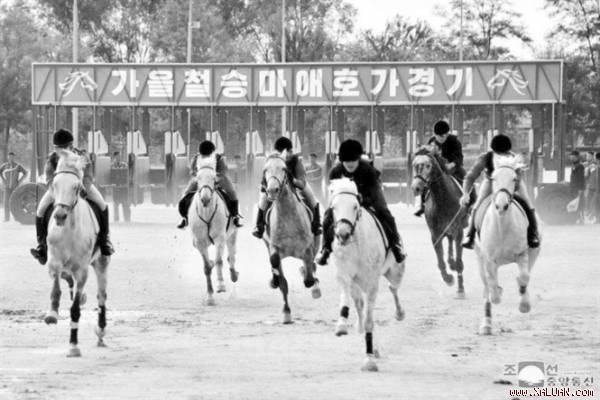 Trường đua ngựa Mirim ở thủ đô Bình Nhưỡng. Triều Tiên được cho mở hoạt động cá cược để tăng thu trong bối cảnh bị quốc tế tăng cấm vận