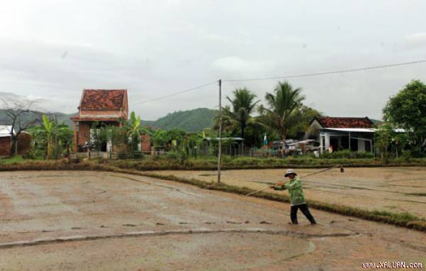 Người dân thôn Tân Hiệp luôn sợ hãi mỗi khi ra đồng làm việc.  Ảnh: Công Tâm