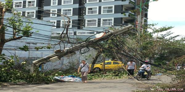 Chùm ảnh: Điện lực Khánh Hòa khẩn trương khắc phục sự cố lưới điện sau bão