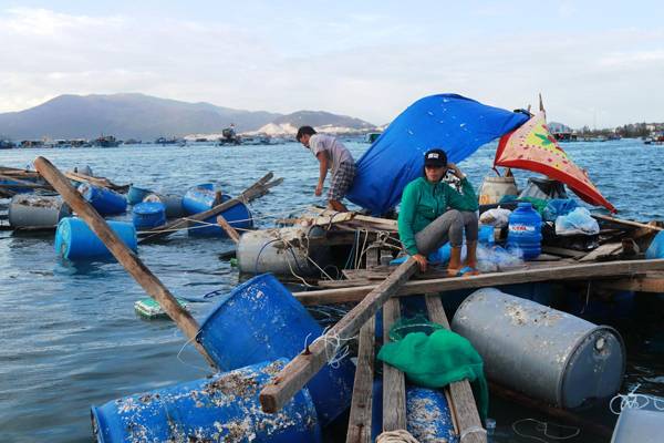 Người dân ngồi trên đống nợ vì lồng bè tan hoang sau bão