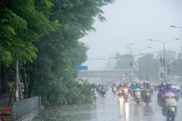 Từ 23 đến 26-11, Khánh Hòa có mưa vừa đến mưa to
